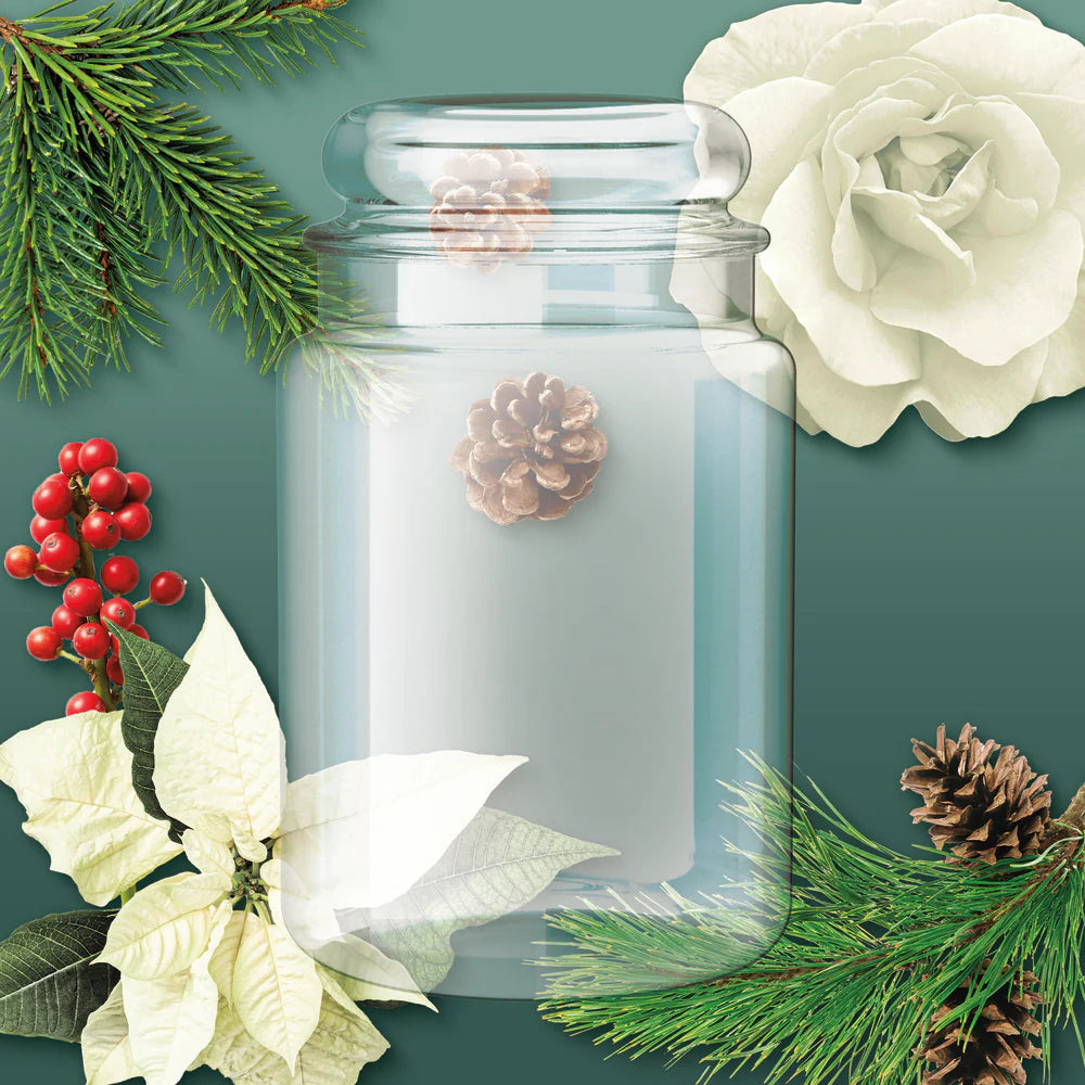 Winter Fir - Home Inspiration Large Jar