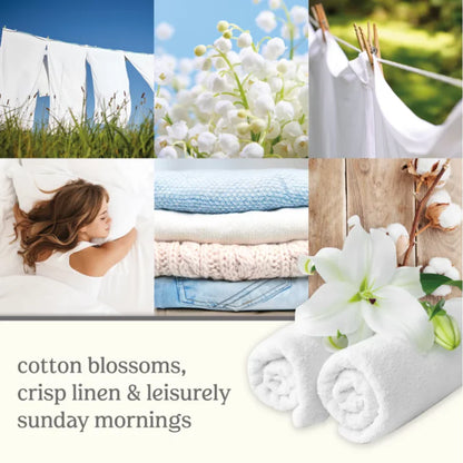 Clean Cotton Signature Large Tumbler