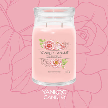 Fresh Cut Roses Signature Large Jar