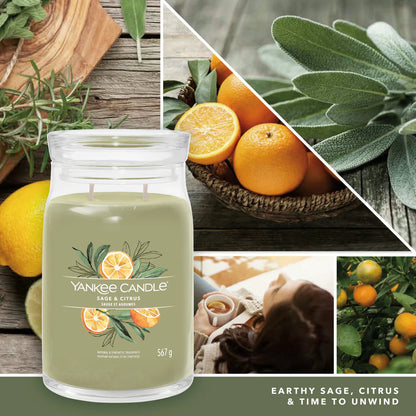 Sage & Citrus Signature Large Jar
