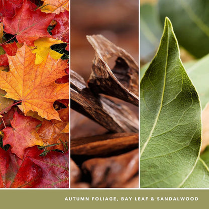 Autumn Nature Walk Classic Large Jar - SALE