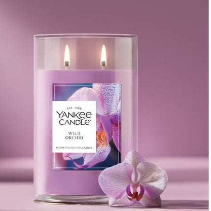 Wild Orchid