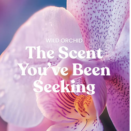Wild Orchid