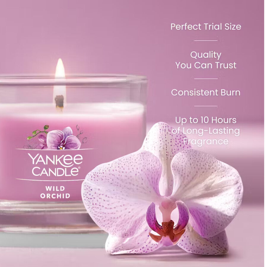 Wild Orchid
