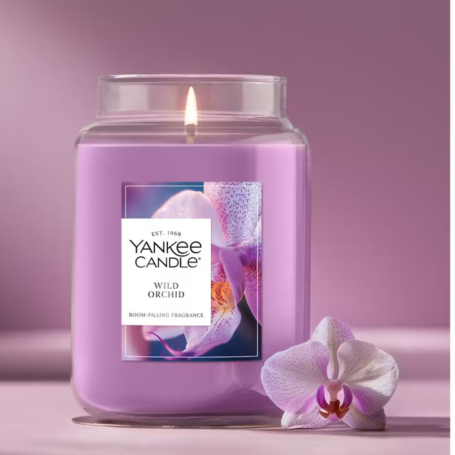 Wild Orchid